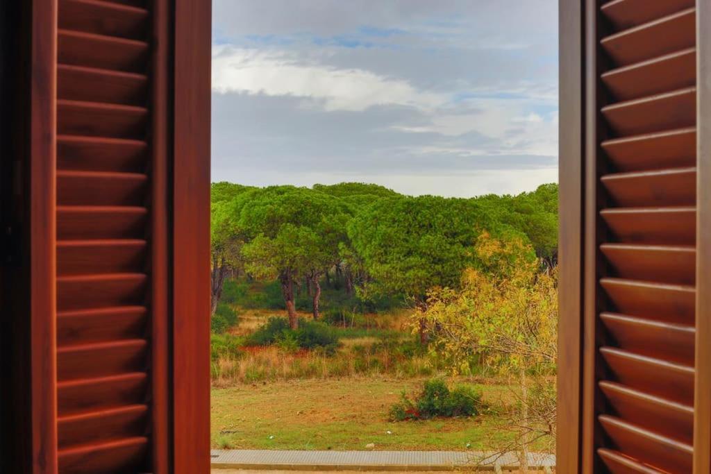 Precioso Apartamento A 700 M Del Mar Chiclana de la Frontera Dış mekan fotoğraf